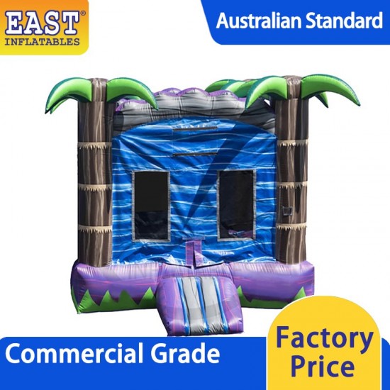 Indoor Jumping Castle