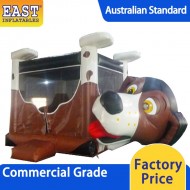 Indoor Inflatable Jumping Castle Indoor Inflatable Jumping Castle