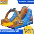 Viking Inflatable Slide