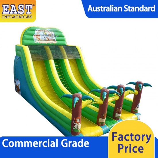 Inflatable Jungle Double Line Slide