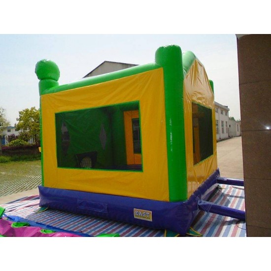 Ninja Turtle Jumping Castle