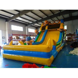 Minion Inflatable Water Slide Minion Inflatable Water Slide