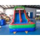 Backyard Inflatable Water Slide