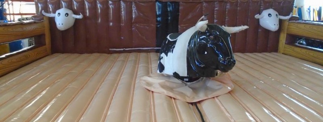 How much can you buy a mechanical bull for?