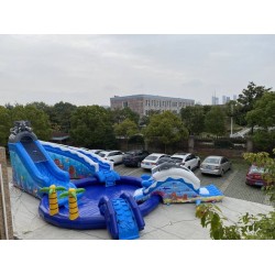 Dolphin Inflatable Water Park Dolphin Inflatable Water Park