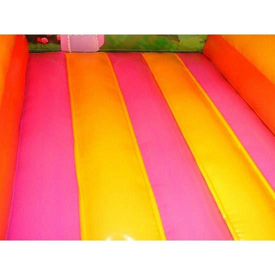 Mini Bouncy Castle