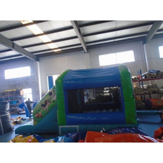 Farm Bouncy Castle Slide