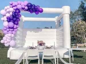 Why do you need a Wedding Bouncy Castle for your wedding?